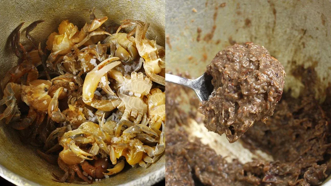 Giã tay hay xay máy nấu canh cua: chọn ngon hay tiện?