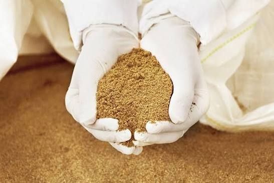 Xuất khẩu bột cá tăng 72% nhưng phụ thuộc 90% vào Trung Quốc