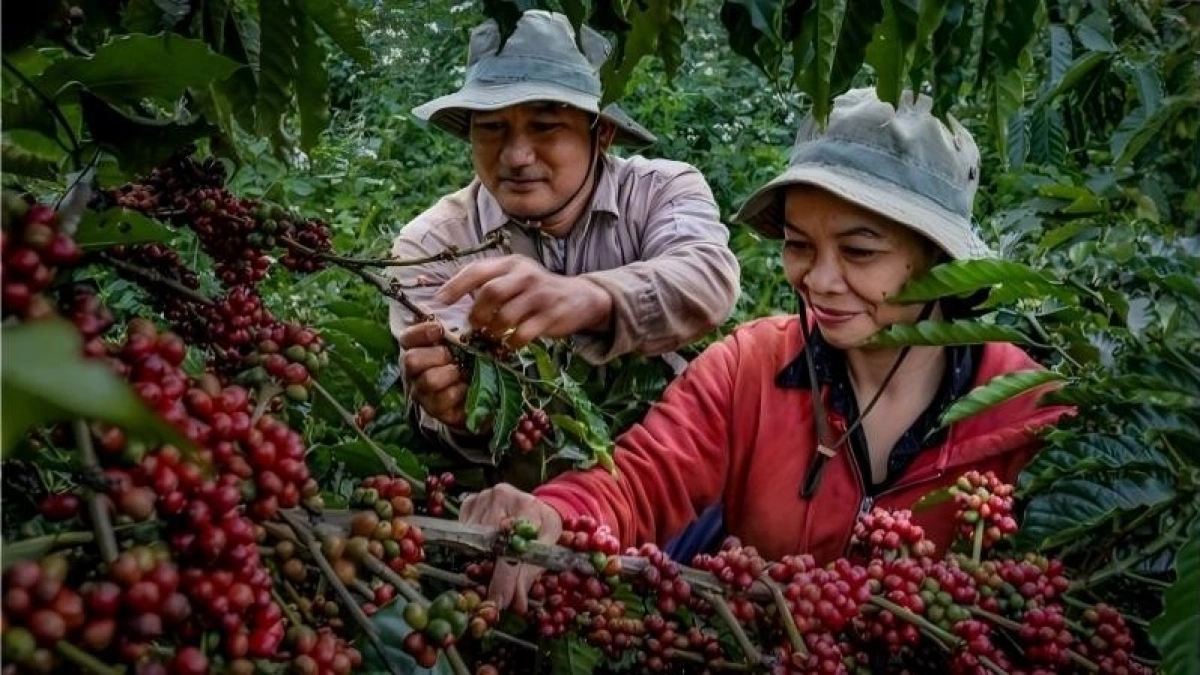 Việt Nam được vinh danh trên bản đồ du lịch toàn cầu