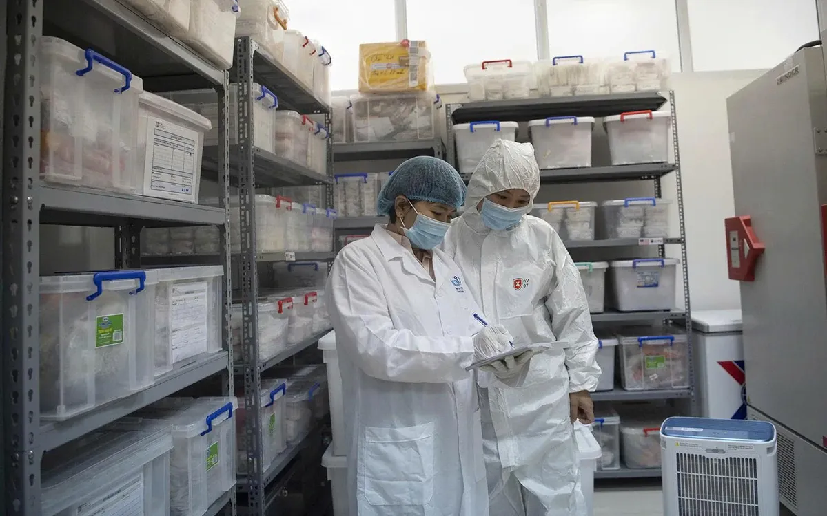 Giải mã gen người Việt: dữ liệu quốc gia và ứng dụng y tế