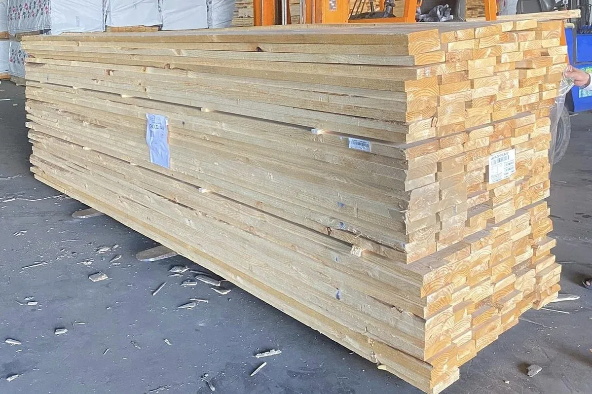 Doanh nghiệp Việt Nam khai phá tiềm năng gỗ và khoáng sản Argentina