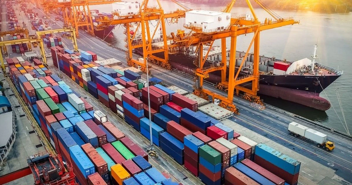 Thương mại Việt Nam - Ấn Độ vượt 13 tỷ USD: Cơ hội và thách thức mới
