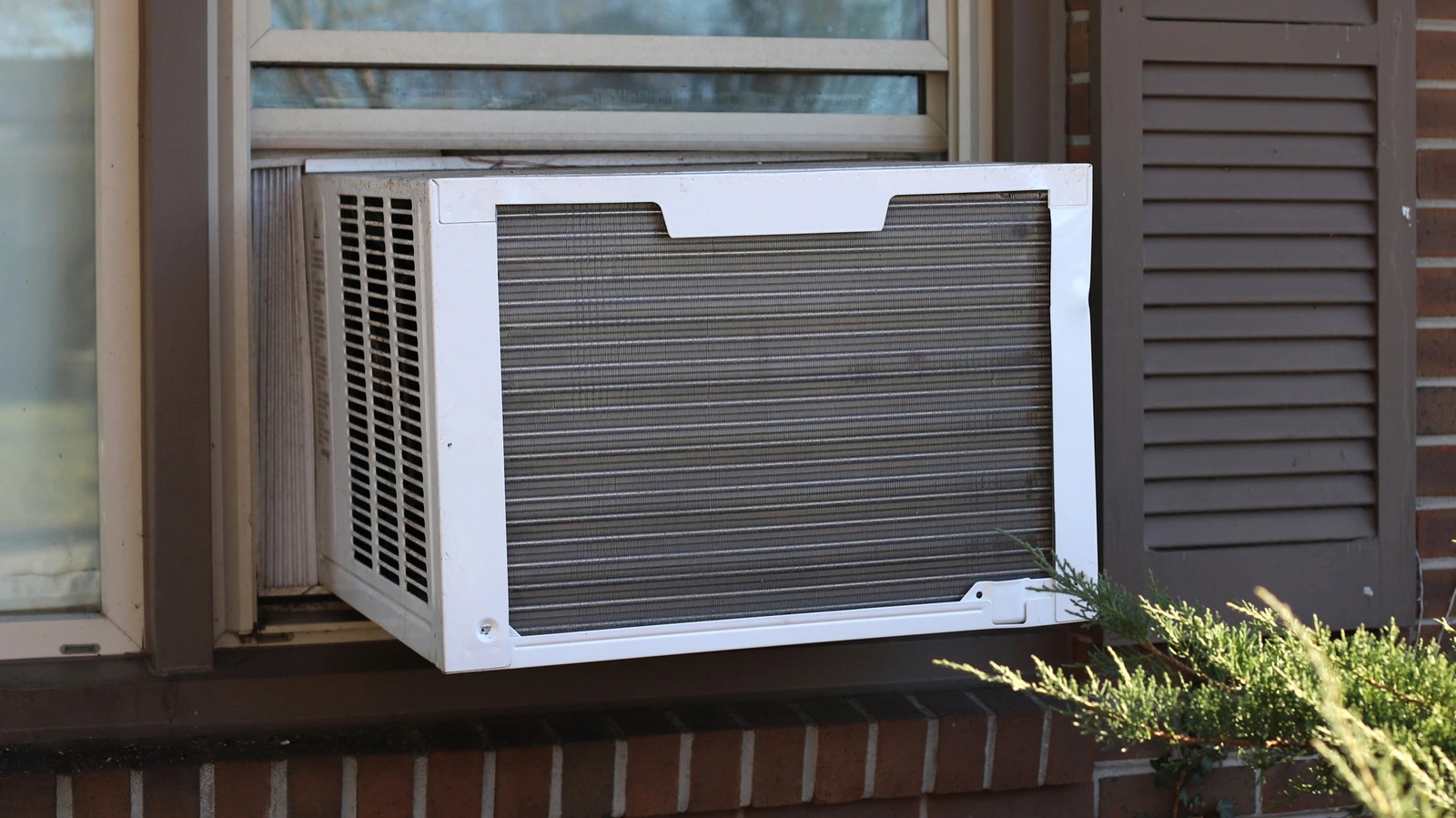 6 món đồ trang trí nhà mua về rồi hối tiếc
