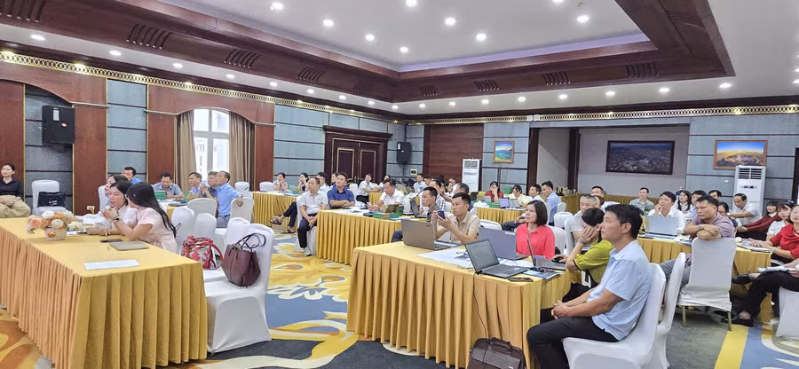 Đào tạo AI cho cán bộ và giáo viên: bước ngoặt chuyển đổi số địa phương
