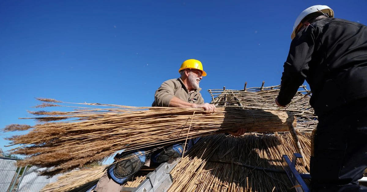 Rơm nông nghiệp thành tường nhà: Từ phế phẩm tới vật liệu bền vững