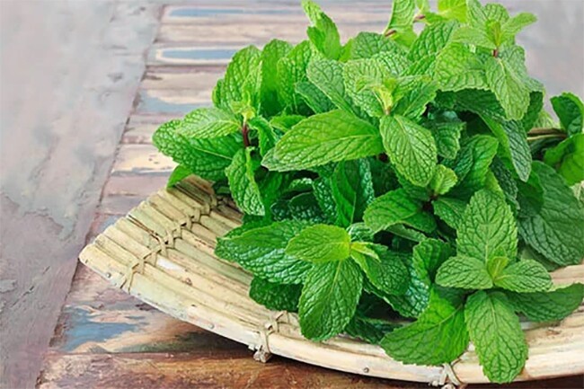 Từ cỏ dại thành siêu thực phẩm: Cách chọn rau càng cua, hoa thiên lý và húng lủi