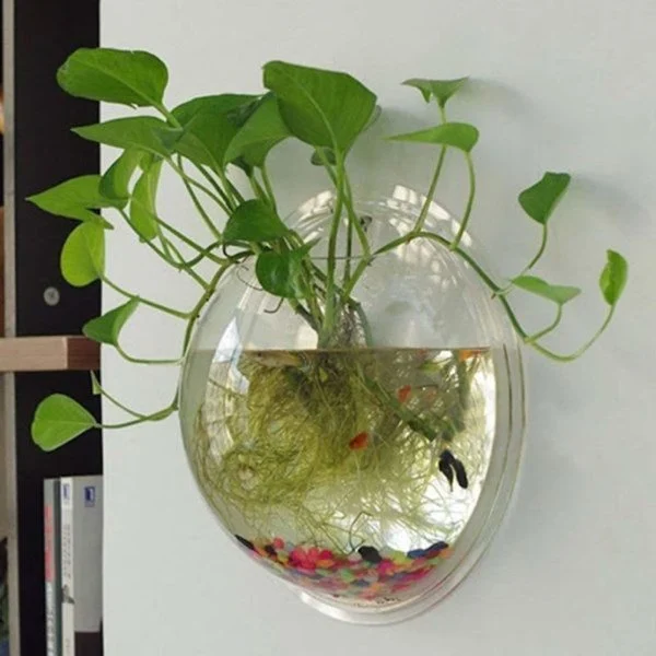 4 loại cây cảnh mùa thu phong thủy hút tài lộc