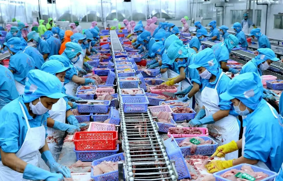 Xuất khẩu thủy sản sang Mỹ giảm mạnh: giữ hay mất vị thế?