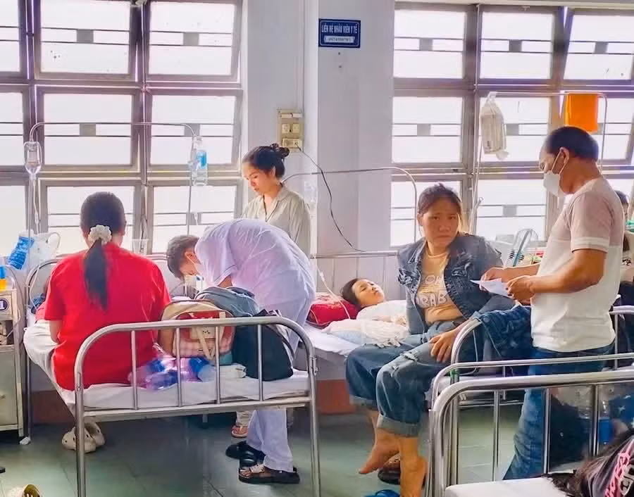 Vụ ngộ độc bánh mì Bin Bin: Hồi chuông cảnh báo từ pâté và sốt trứng
