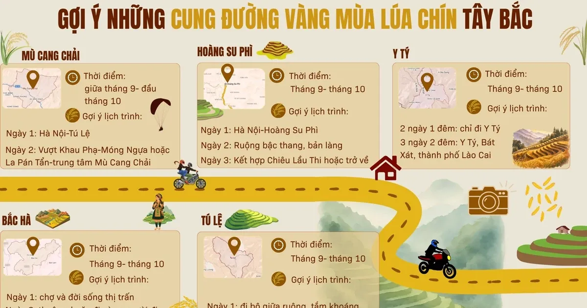 Mùa lúa chín Tây Bắc: Hành trình ngân sách đến những cánh đồng vàng