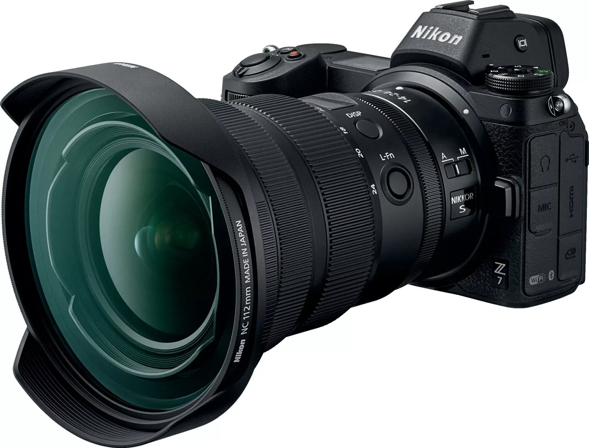 Beralih Dari DSLR ke Nikon Z untuk Fotografi Bawah Laut