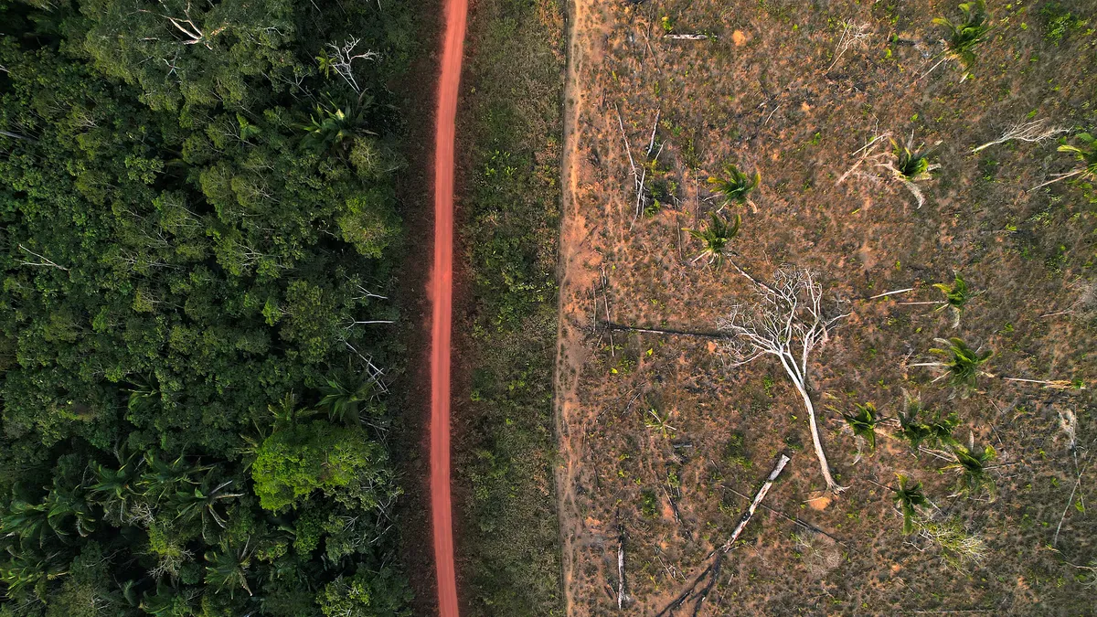 Brazil nhắm thị trường carbon Trung Quốc: bước ngoặt từ Amazon ra toàn cầu