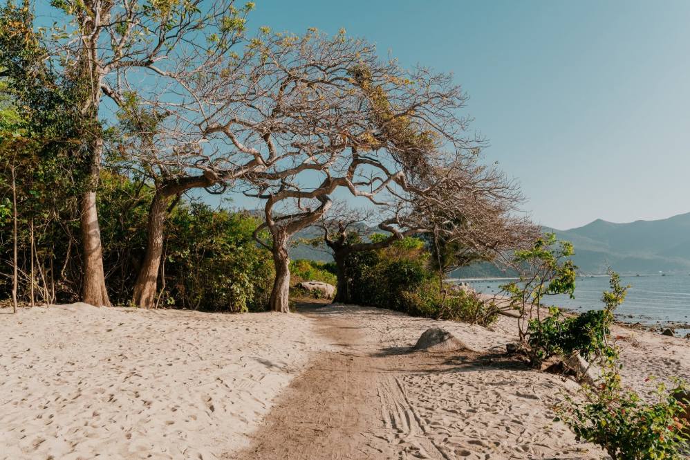 Chuyến bay Sài Gòn – Cam Ranh: Một giờ “ngắm biển” trên trời