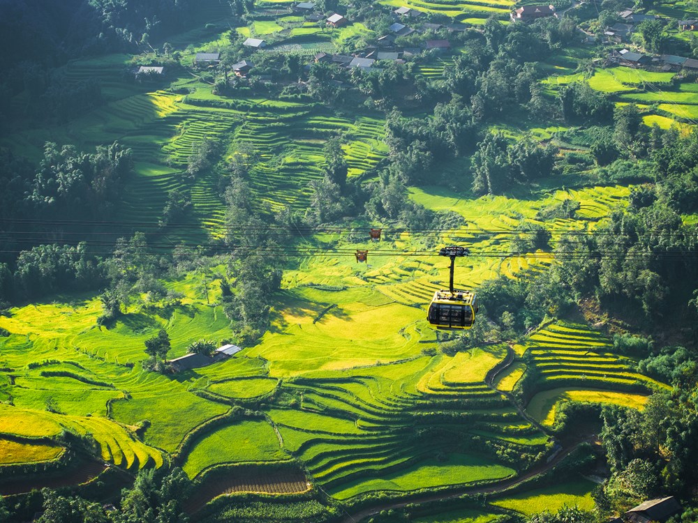 Săn ảnh mùa thu Fansipan: biển mây, mùa vàng và thảm hoa