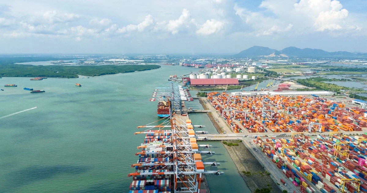 Cảng TP.HCM tận dụng FTA để bứt phá thành trung tâm logistics Đông Nam Á