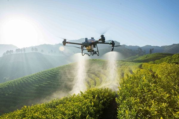 Hướng dẫn chọn mua máy bay nông nghiệp cho nông dân Việt