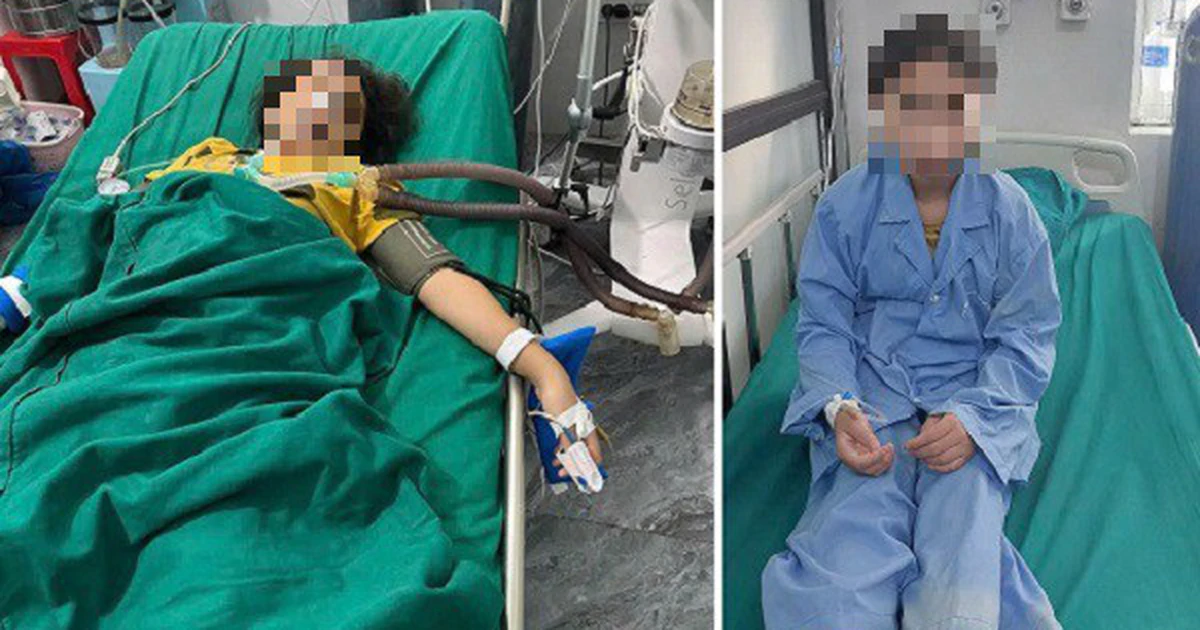 Nước lá rừng tự pha: Độc tố chết người đang ẩn trong bếp nhà bạn