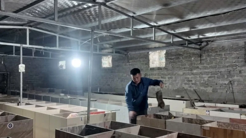 Từ dược liệu thô đến nhà máy GMP: Câu chuyện Quảng Ninh