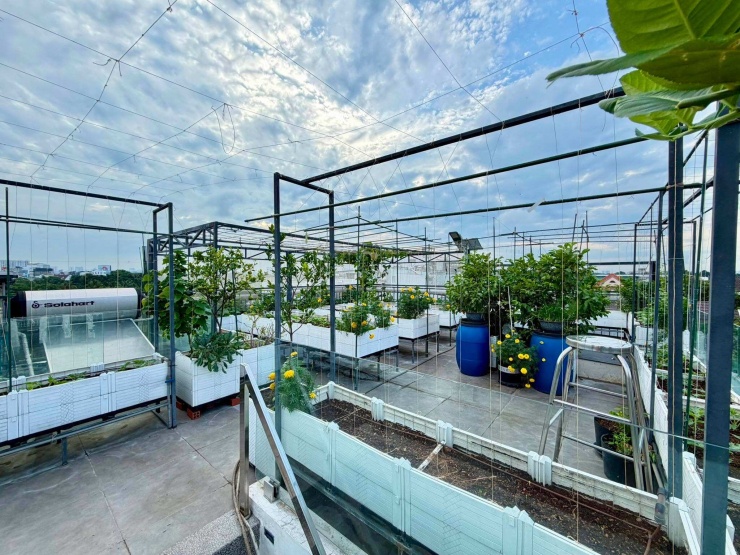 Từ sân thượng 80m2 đến vườn 5.700m2: giấc mơ không gian xanh của các gia đình Việt