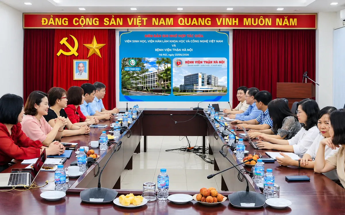 260 biến thể gene tim thận: Một cơ chế di truyền chung cho bệnh mãn tính