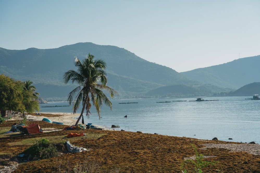 Chuyến bay Sài Gòn – Cam Ranh: Một giờ “ngắm biển” trên trời