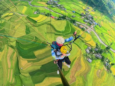 Những cung đường vàng Tây Bắc mùa lúa chín