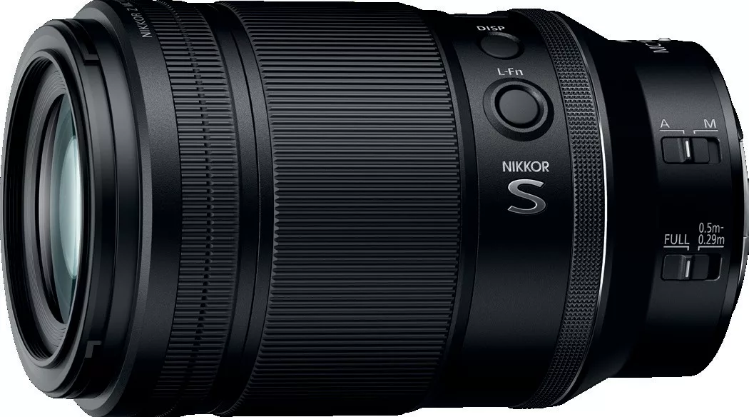 Beralih Dari DSLR ke Nikon Z untuk Fotografi Bawah Laut