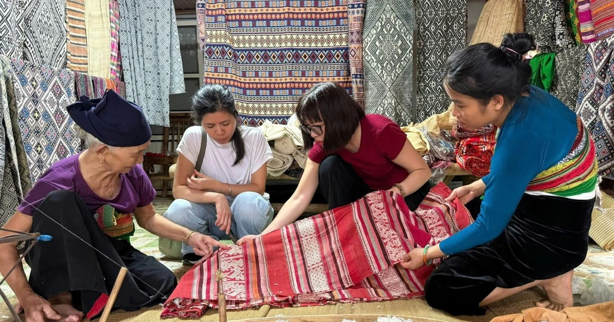 Tre Việt từ chất liệu mộc mạc đến biểu tượng nội thất đương đại