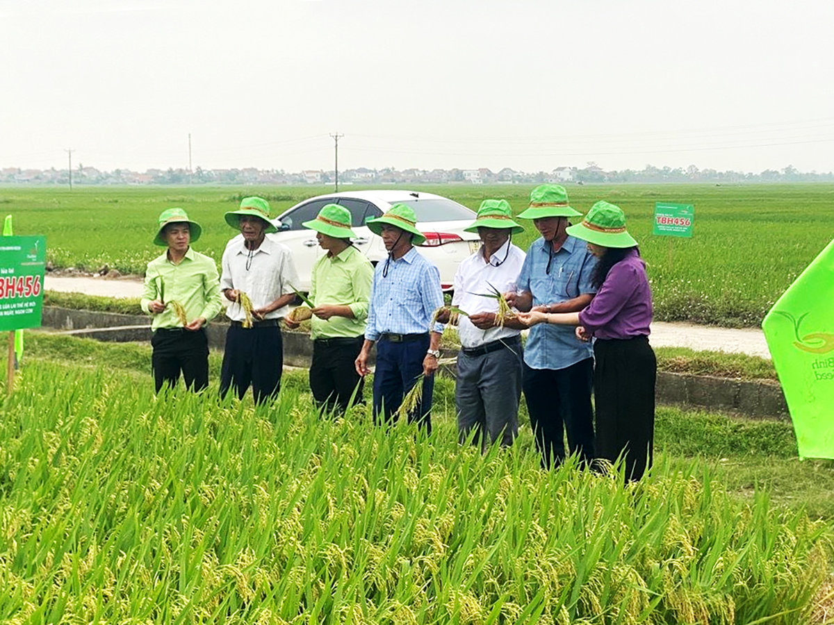 Từ bánh Việt đến hạt gạo lai: Hành trình thương hiệu nông sản Việt ra thế giới