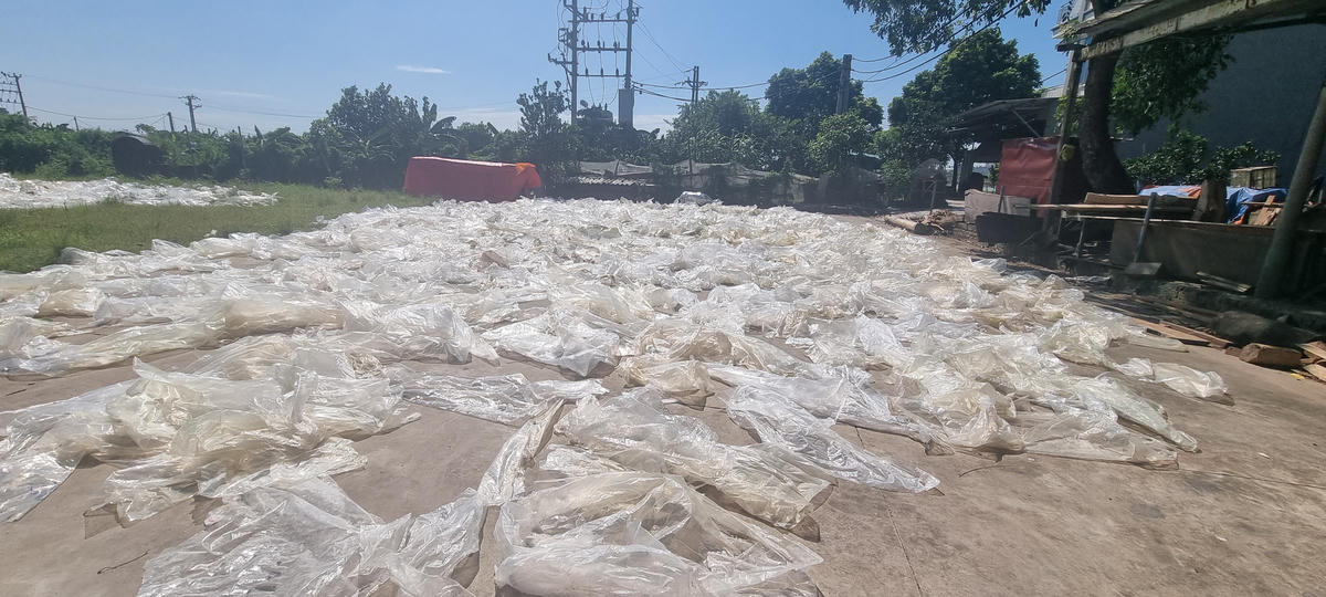 Rác nhựa đại dương: Thuế vô hình đè lên ngư dân và khoa học nói gì