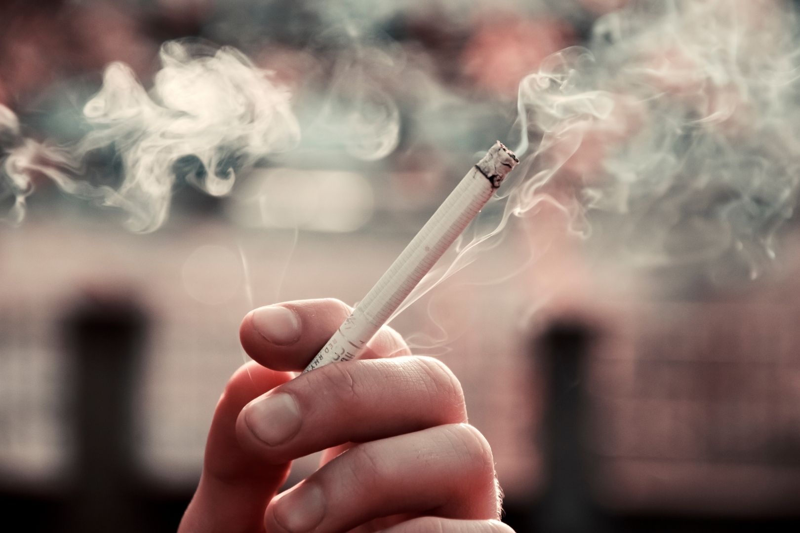 Khói thuốc thụ động: kẻ giết người âm thầm của mắt, tim và khả năng sinh sản