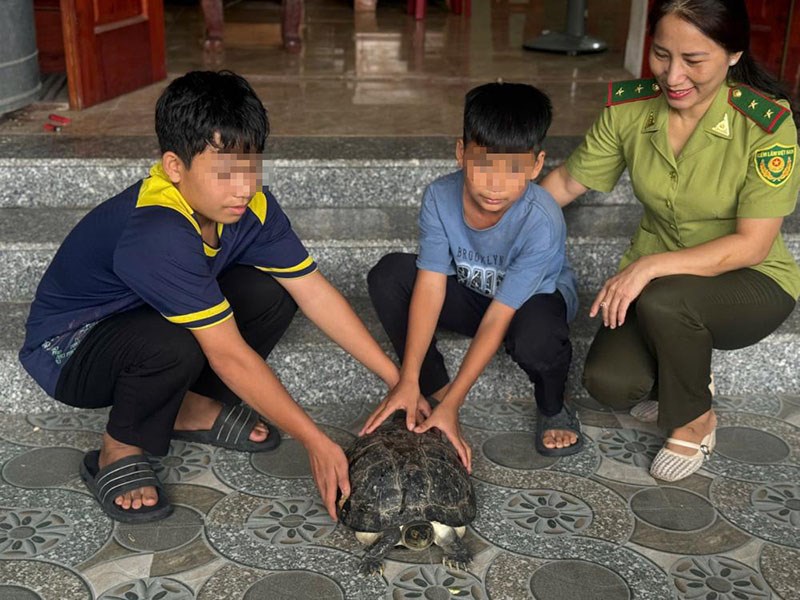 Hai học sinh Hà Tĩnh giải cứu rùa Răng quý hiếm 9kg