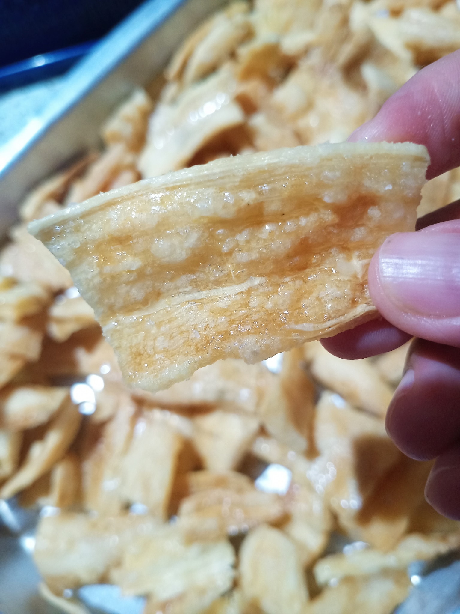 Rahsia Goreng Rangup: Cendawan Celup Tepung & Kerepek Ubi