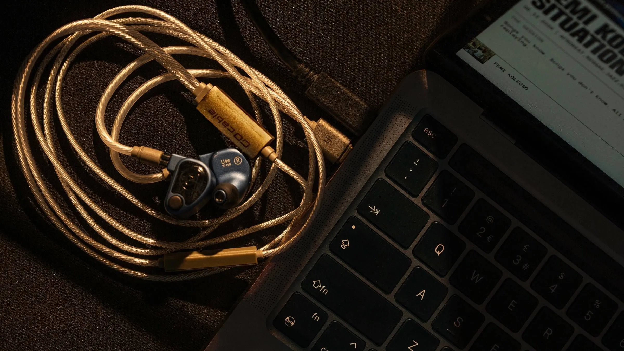 iFi GO Cable: DAC ampli cáp USB-C mở lối cho hi-fi di động