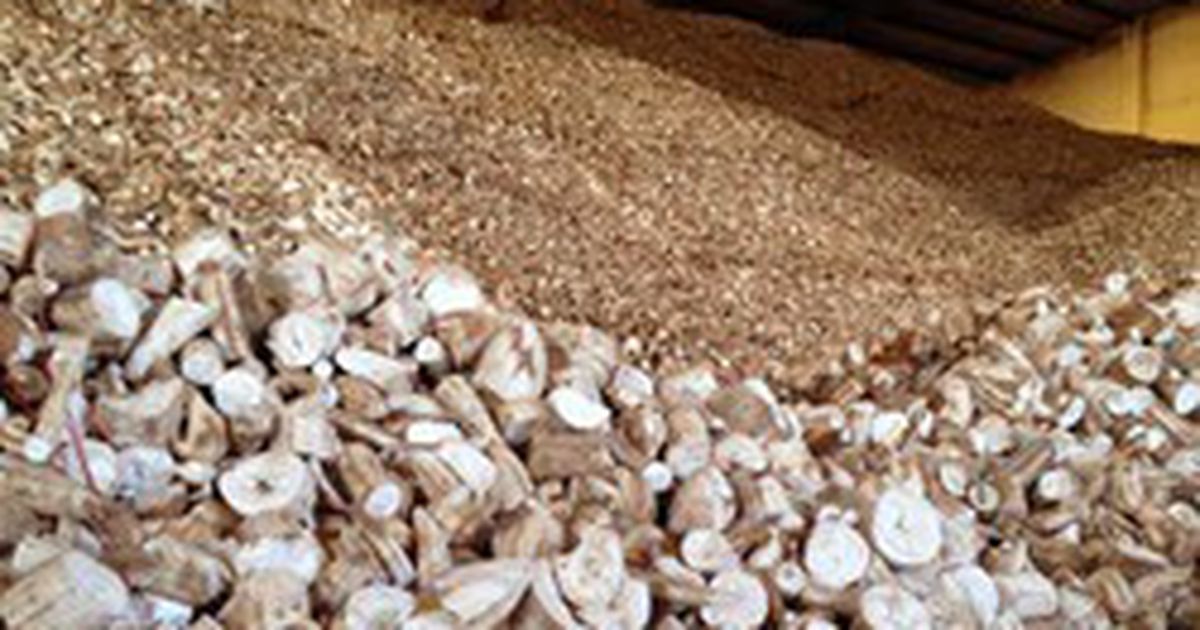 Sầu riêng và lúa Việt đối mặt sức ép Thái Lan, Malaysia