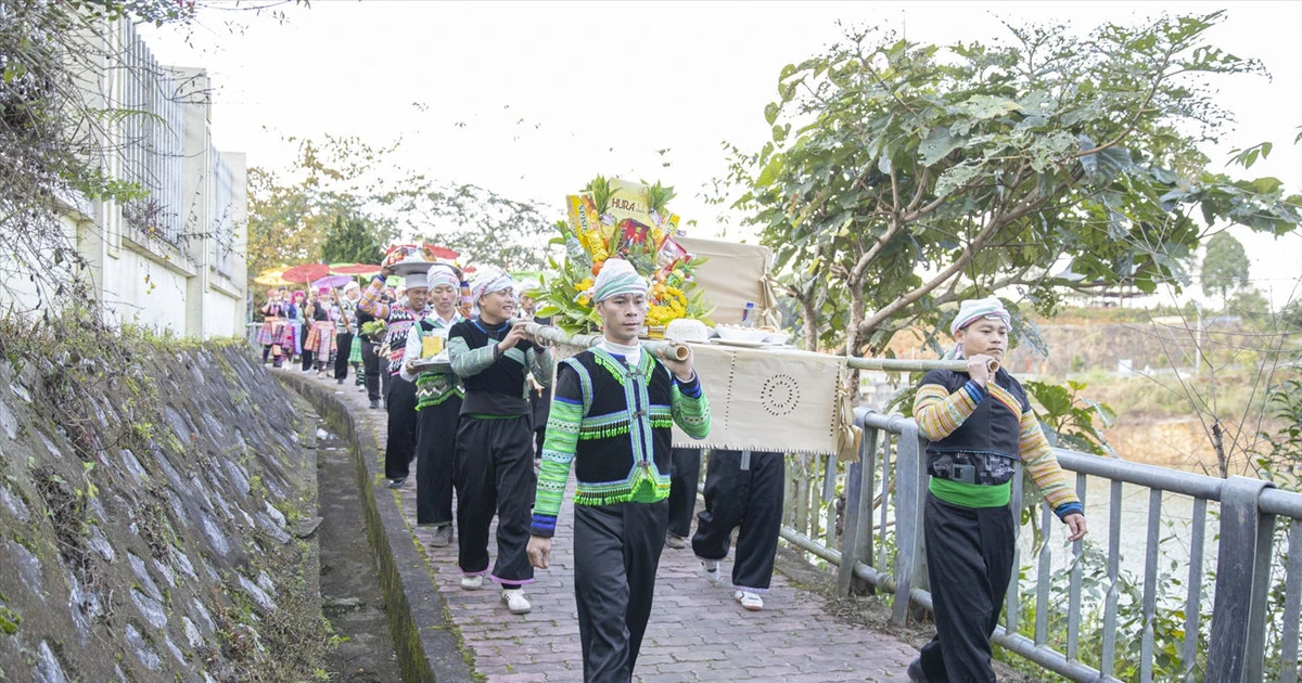 Festival Trà Shan Tuyết Lào Cai: Hành trình chè cao nguyên và sắc màu văn hóa