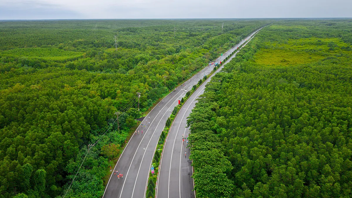HDBank Green Marathon: Bước chân xanh giữa rừng ngập mặn Cần Giờ