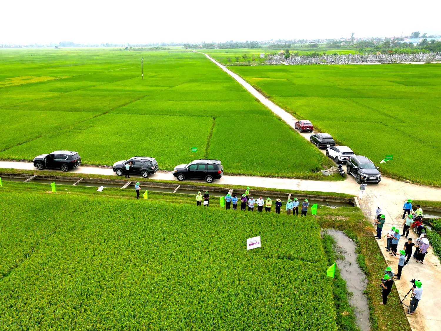 Từ bánh Việt đến hạt gạo lai: Hành trình thương hiệu nông sản Việt ra thế giới