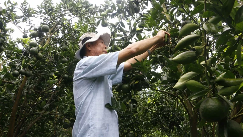 Ngân hàng Thế giới chi 667 triệu USD phát triển hạ tầng và thủy sản bền vững ven biển Việt Nam