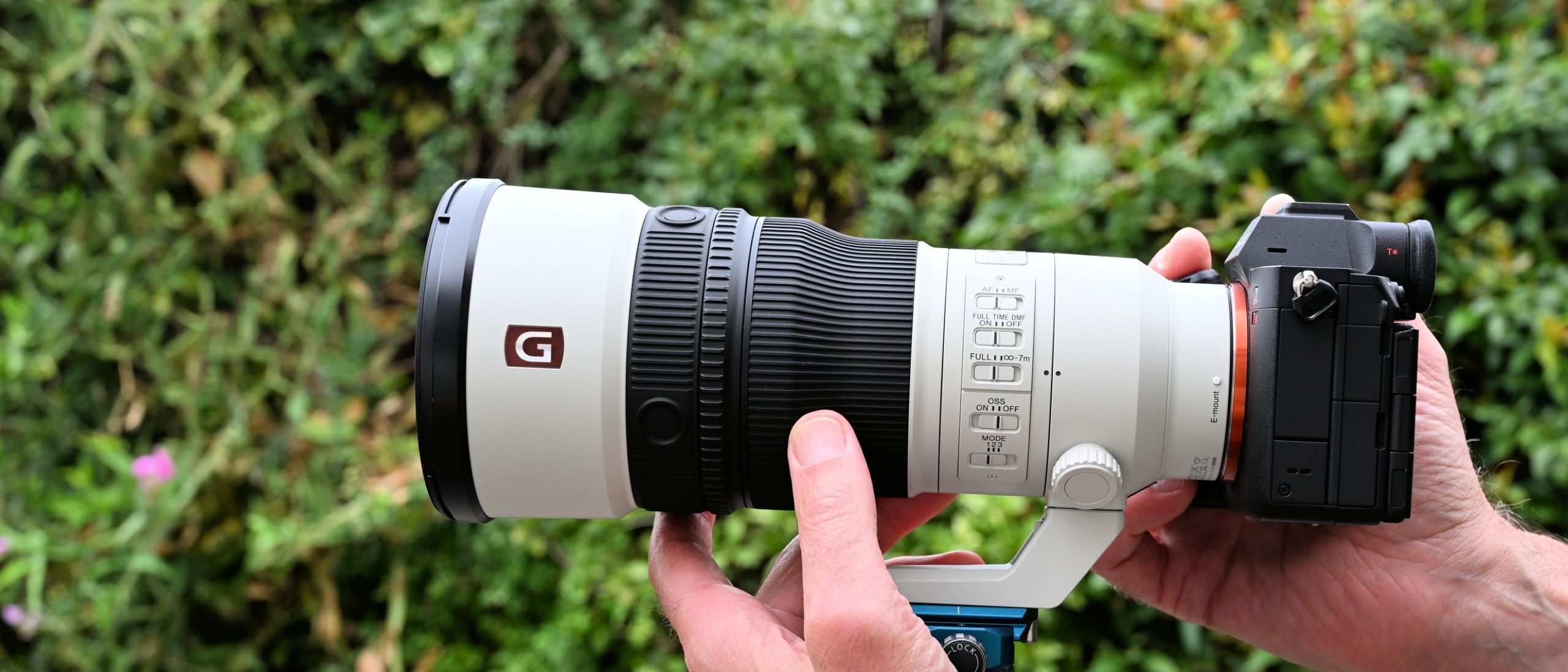 Sony FE 600mm f/6.3 GM OSS vs 400mm f/4.5: Tele nào cho thể thao và thiên nhiên?