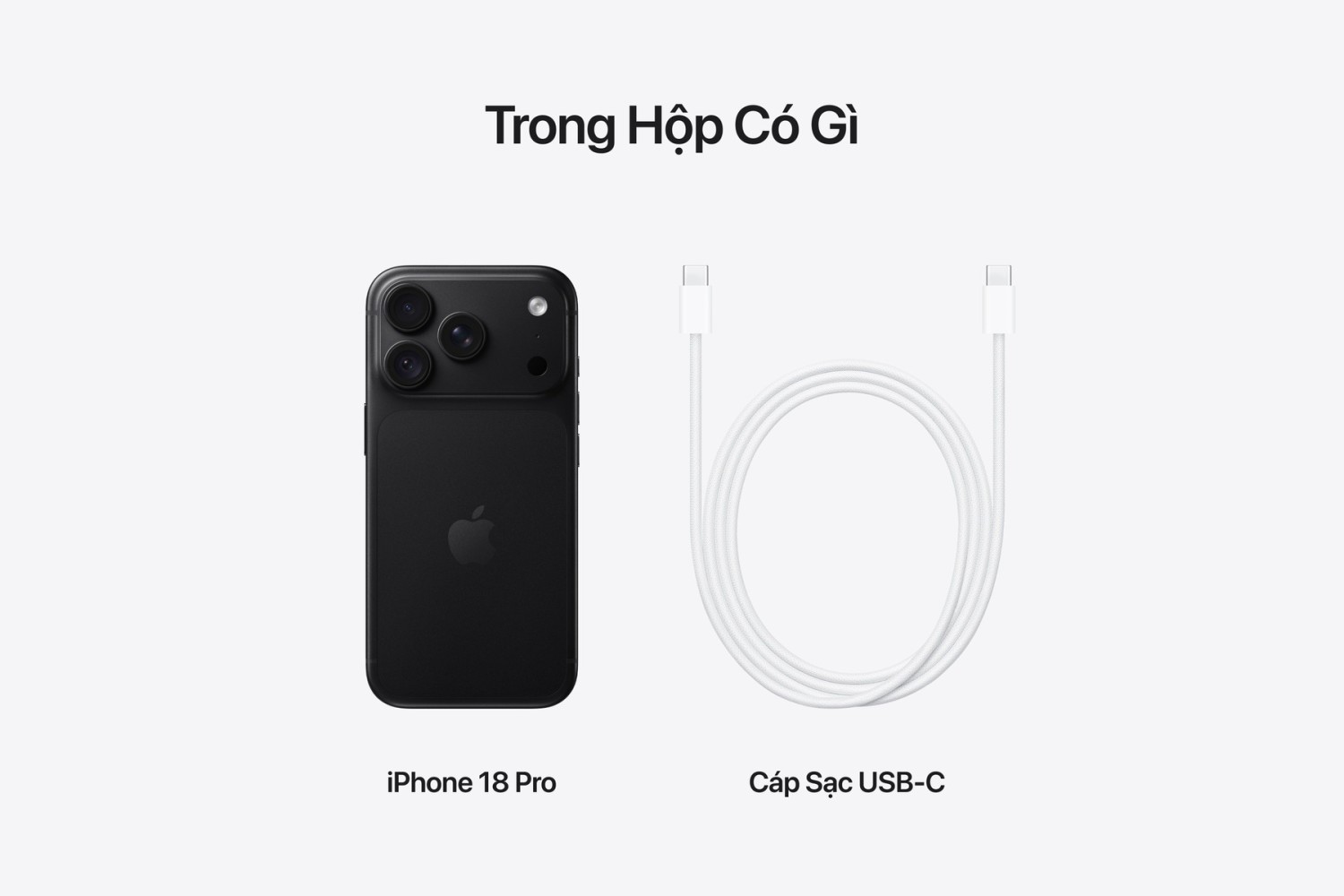 HEIF, JPEG hay ProRAW trên iPhone 18 Pro: chọn định dạng ảnh đúng nhu cầu