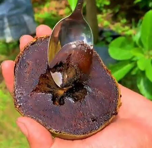Cách chọn quả hồng tốt nhất để ngon miệng mà không lo tắc ruột