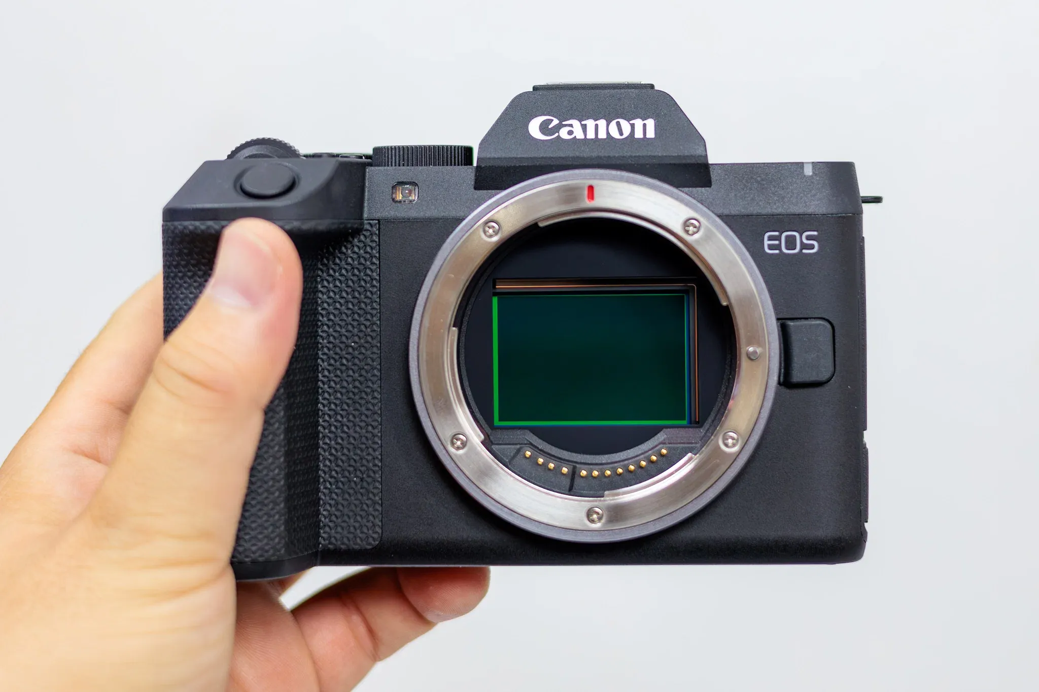 Canon EOS R8 Mark II: IBIS 5 trục và 40 fps đổi cuộc chơi entry-level