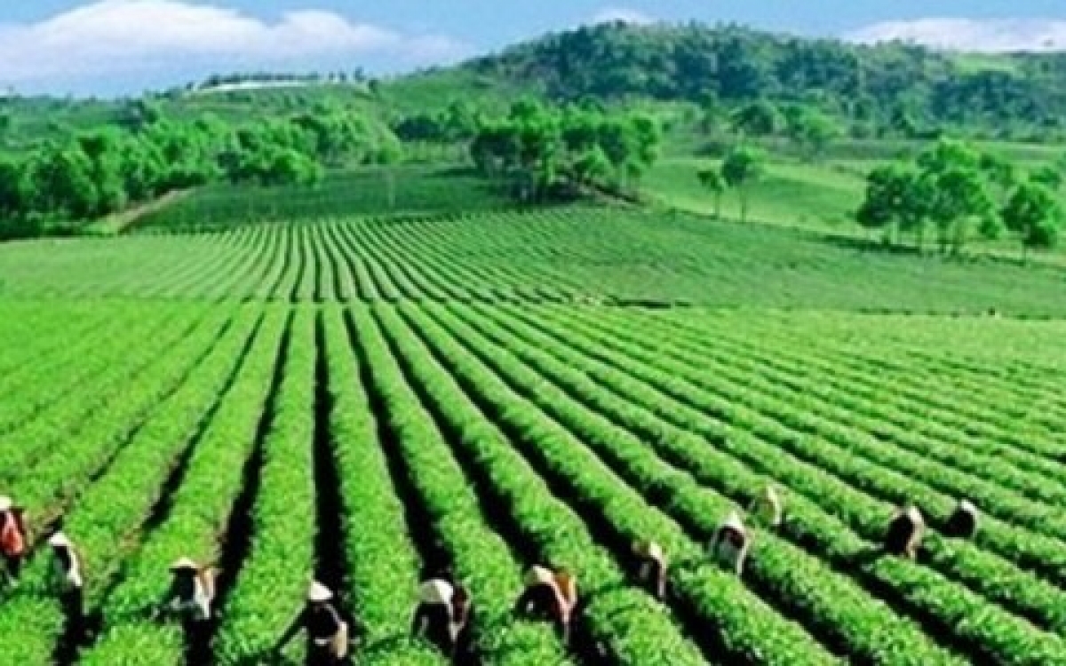 Giới thiệu hành trình chuyển đổi xanh tại GREEN EXPO Yokohama