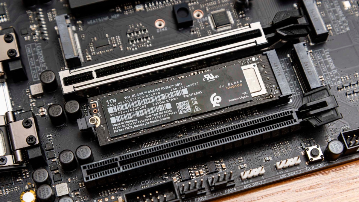 WD_BLACK SN8100 vs SN7100: Nên lên PCIe Gen 5 hay giữ Gen 4?