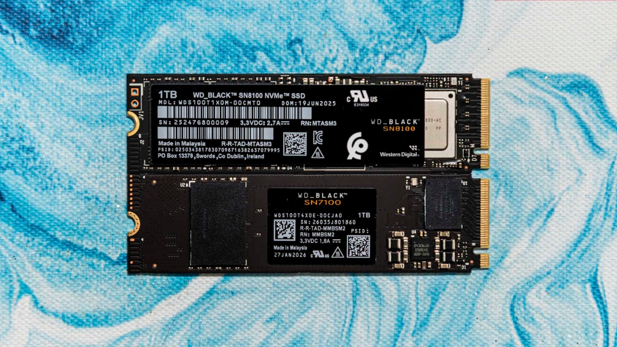 MAXBY MAX3500 1TB vs WD_BLACK SN8100: SSD giá rẻ đủ tốt đến đâu?