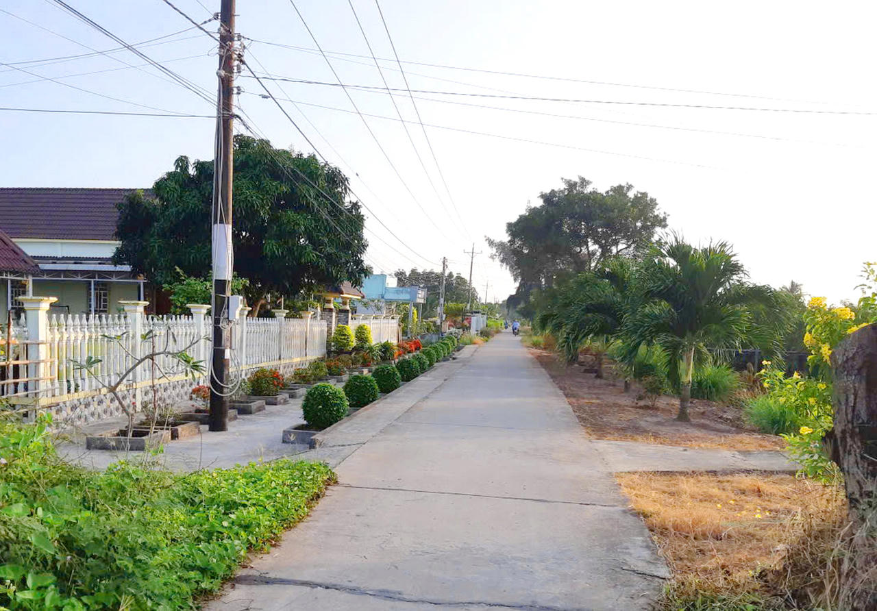 Cà Mau dồn hơn 14.000 tỷ đồng cho đường bê tông nông thôn: canh bạc hạ tầng để thay đổi kinh tế