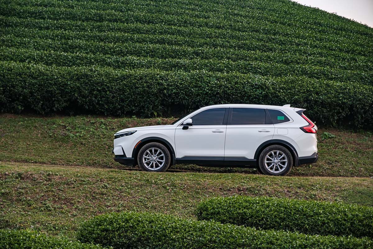 Tháng Ngâu, xe hybrid hạ nhiệt nhưng Toyota vẫn dẫn dắt cuộc chơi