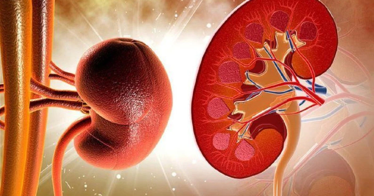 5 thói quen hàng ngày âm thầm bào mòn thận của bạn