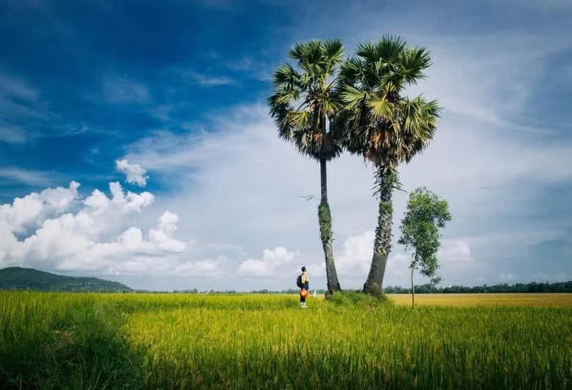 Mô hình nông nghiệp tuần hoàn ở Thái Hòa: từ phụ phẩm đến giá trị xanh